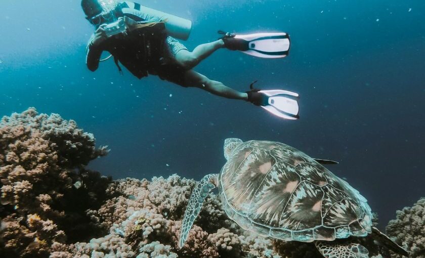 Is Scuba Diving Difficult for Beginners?