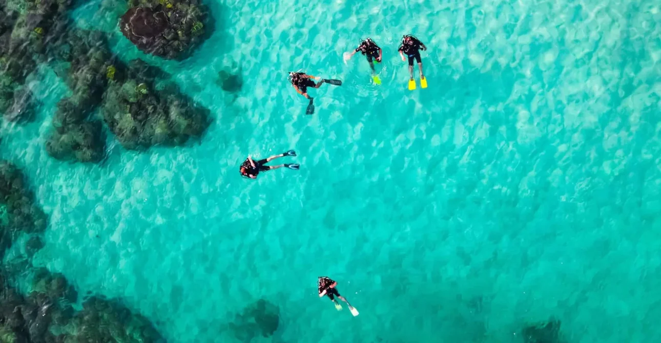 Best Snorkeling Near Muscat: Why Daymaniyat Islands is #1