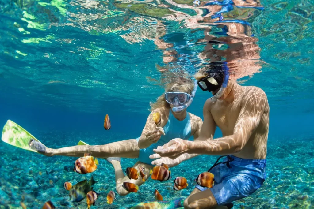 Daymaniyat Islands Snorkeling