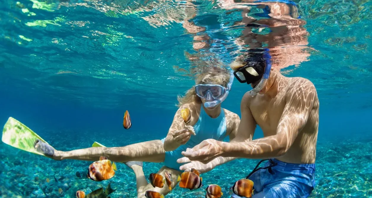 Daymaniyat Islands Snorkeling Tips: Expert Guide to Gear, Safety & Marine Life
