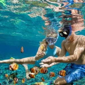 Daymaniyat Islands Snorkeling