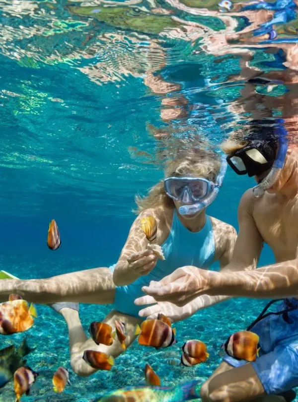Daymaniyat Islands Snorkeling