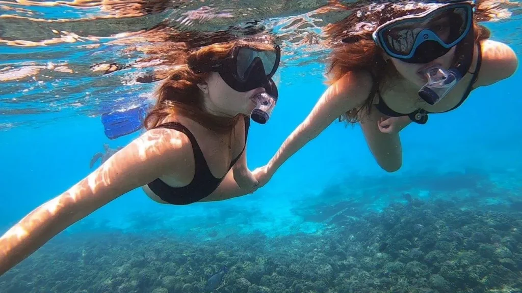 Daymaniyat Islands Snorkeling