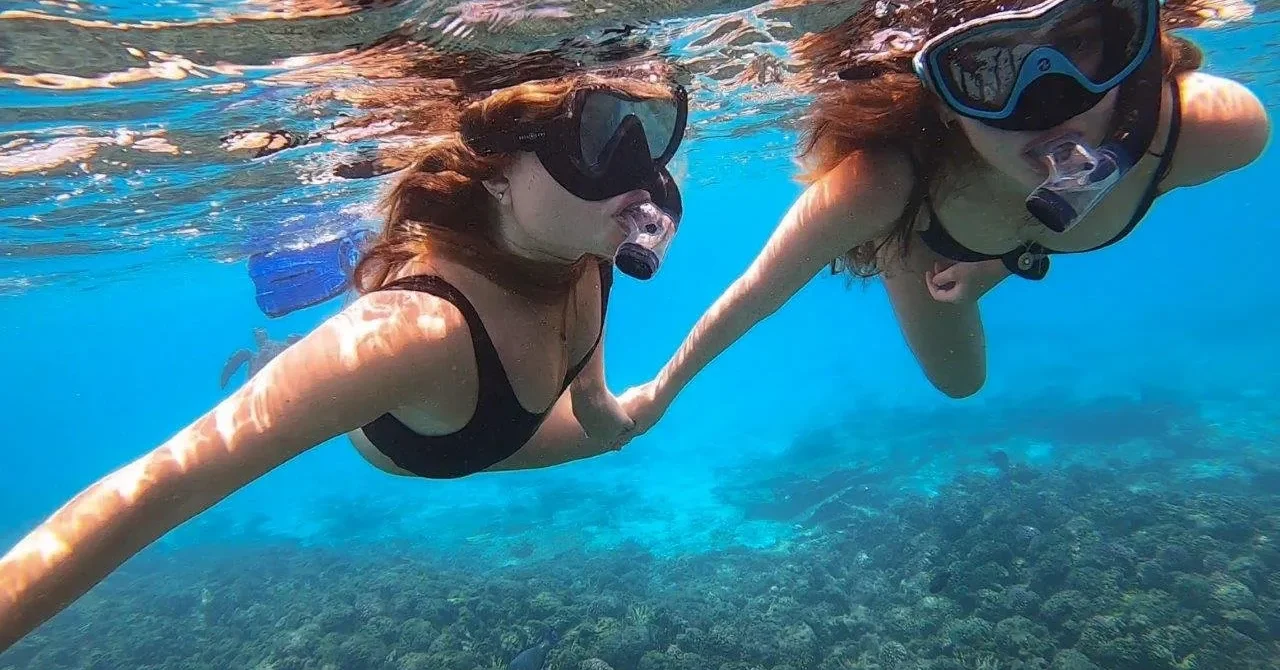 Daymaniyat Islands Snorkeling for Beginners: Complete Safety & Expectation Guide