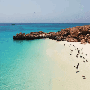How Eco-Tourism at Daymaniyat Islands Protects Oman's Oceans