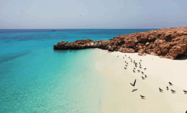 How Eco-Tourism at Daymaniyat Islands Protects Oman's Oceans