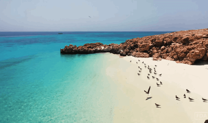 How Eco-Tourism at Daymaniyat Islands Protects Oman’s Oceans