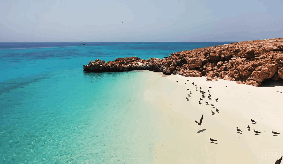 How Eco-Tourism at Daymaniyat Islands Protects Oman's Oceans