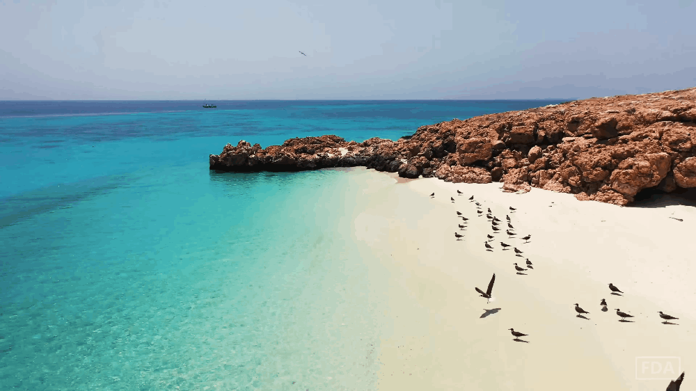 How Eco-Tourism at Daymaniyat Islands Protects Oman's Oceans