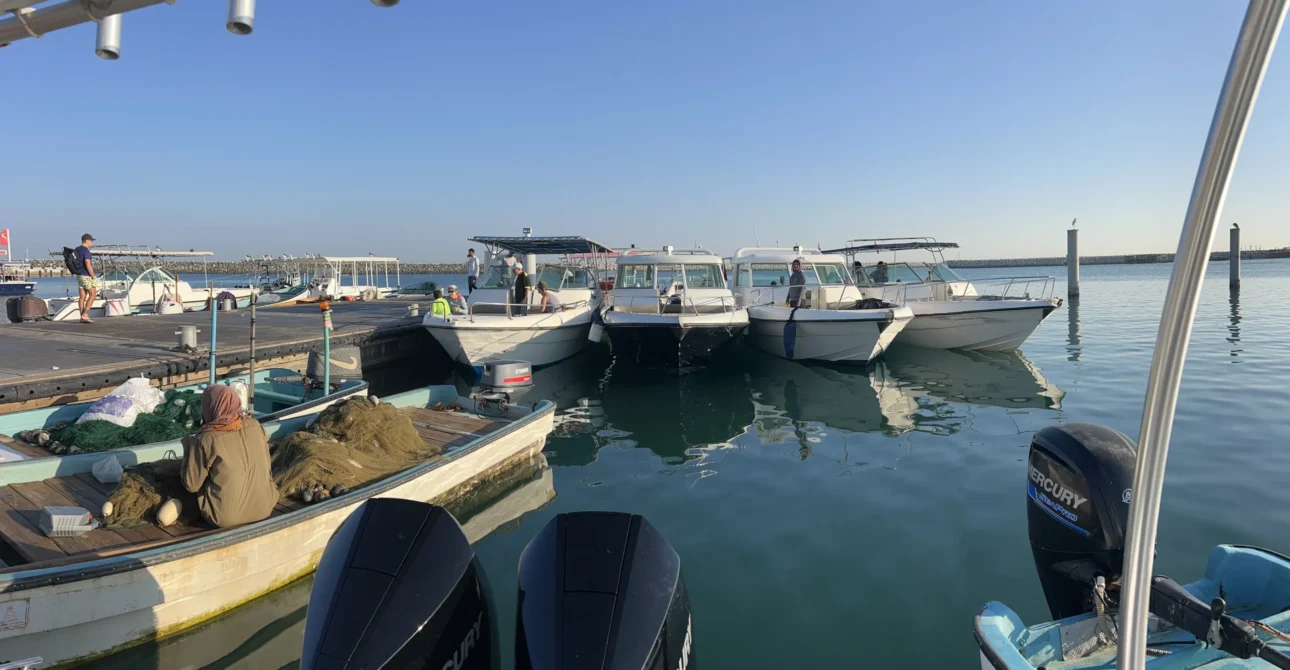 Top Reasons Muscat Is the Snorkeling Capital of the Middle East