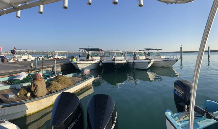 Top Reasons Muscat Is the Snorkeling Capital of the Middle East