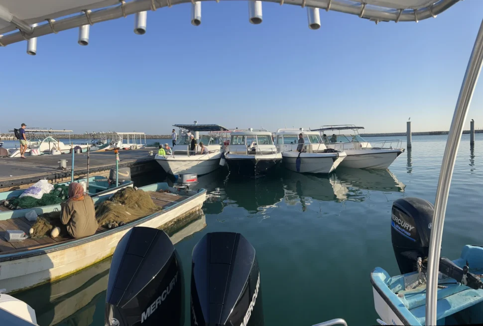 Top Reasons Muscat Is the Snorkeling Capital of the Middle East