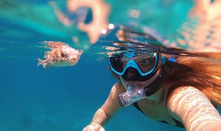 Snorkeling With Turtles in Oman: Your Bucket-List Experience