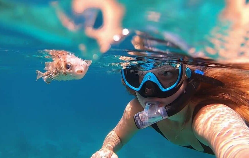 Snorkeling With Turtles