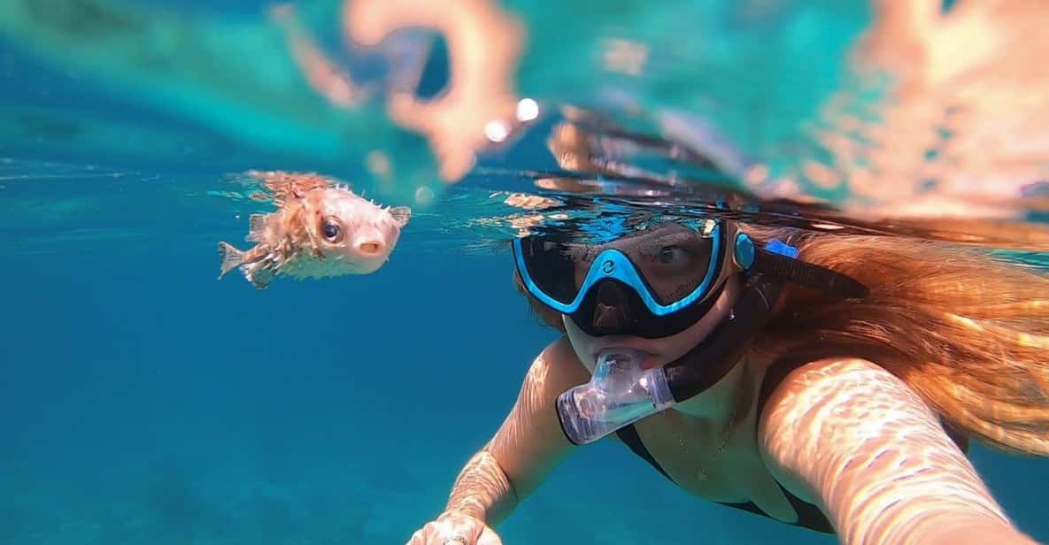 Snorkeling With Turtles