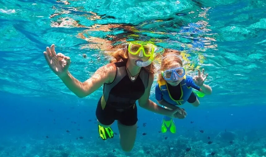 The Top 10 Marine Species You Can See at Daymaniyat Islands, Oman