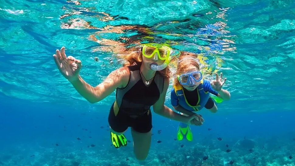 The Top 10 Marine Species You Can See at Daymaniyat Islands, Oman