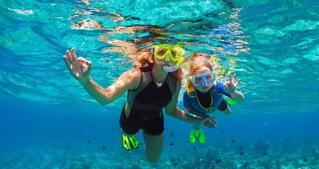 The Top 10 Marine Species You Can See at Daymaniyat Islands, Oman