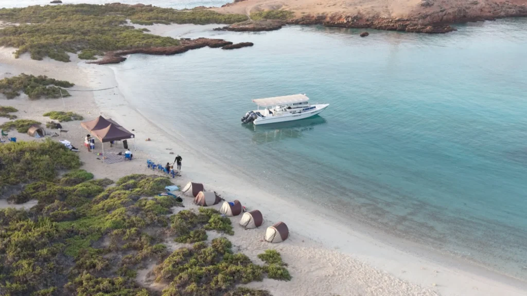 The Ultimate Overnight Camping Experience at Daymaniyat Islands