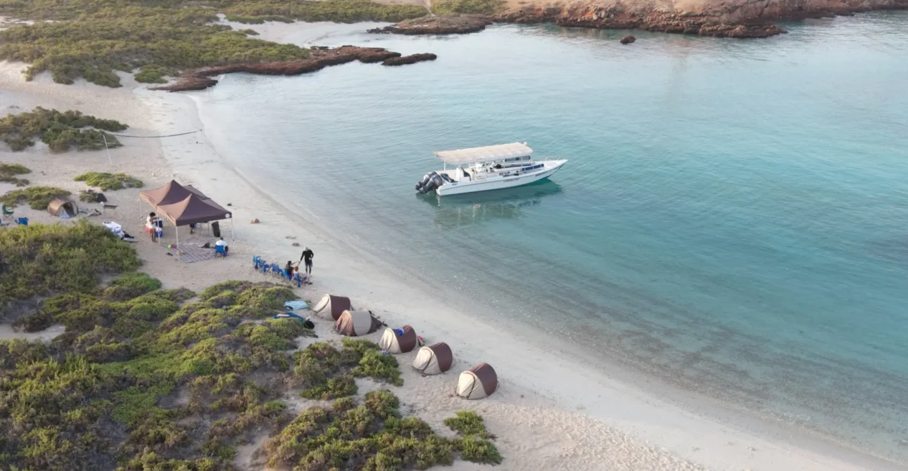 The Ultimate Overnight Camping Experience at Daymaniyat Islands