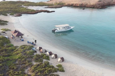 The Ultimate Overnight Camping Experience at Daymaniyat Islands