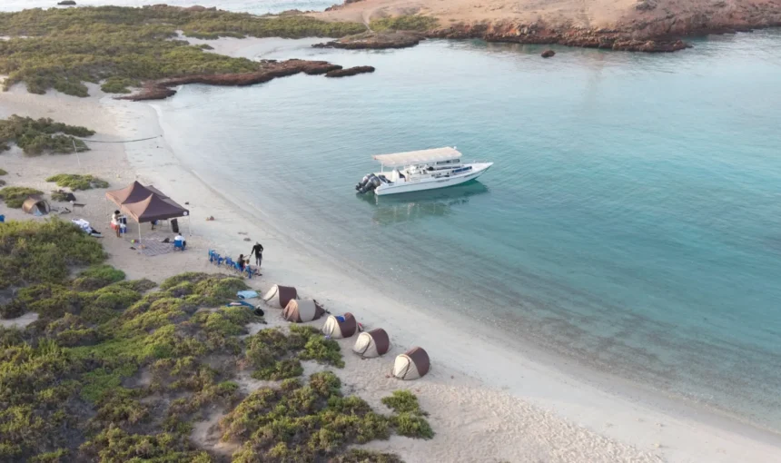 The Ultimate Overnight Camping Experience at Daymaniyat Islands