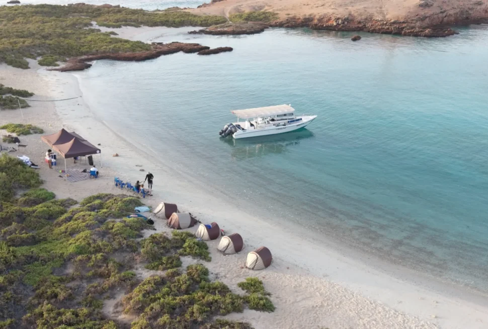 The Ultimate Overnight Camping Experience at Daymaniyat Islands