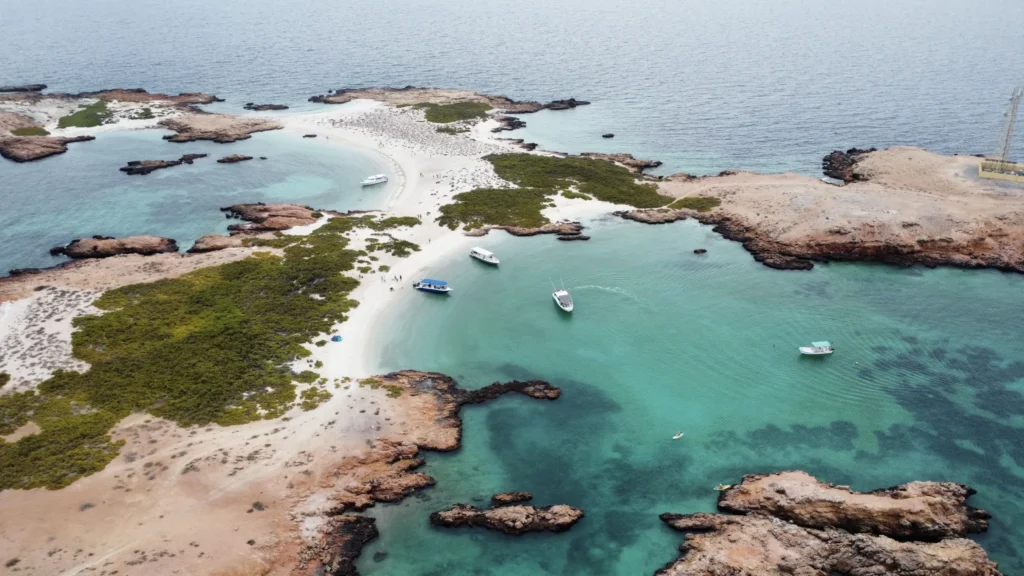 Masirah vs Daymaniyat Islands: Which Oman Island Is Better for Your Trip?