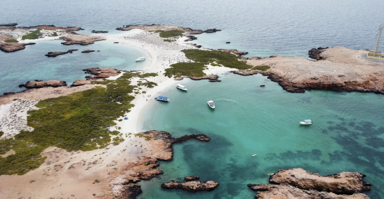 Masirah vs Daymaniyat Islands: Which Oman Island Is Better for Your Trip?