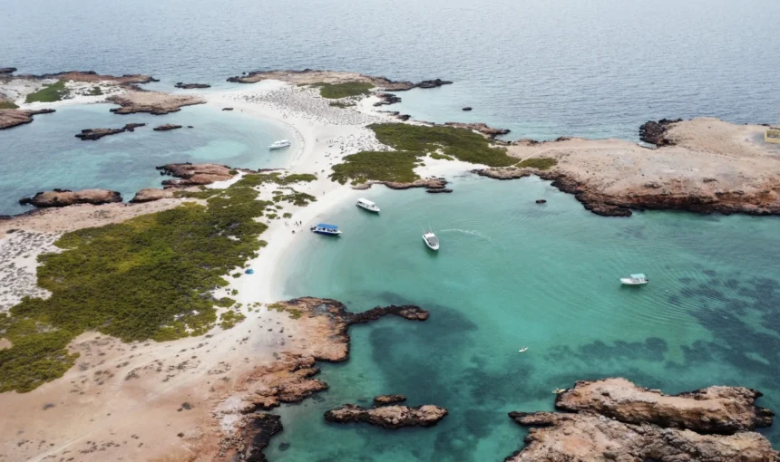 Masirah vs Daymaniyat Islands: Which Oman Island Is Better for Your Trip?