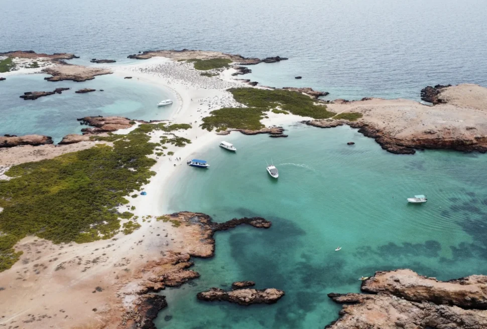 Masirah vs Daymaniyat Islands: Which Oman Island Is Better for Your Trip?