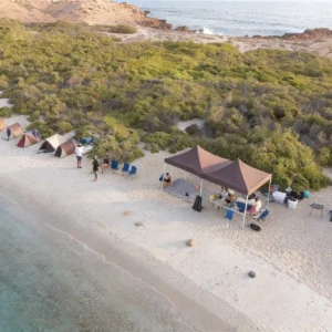 camping drone view at daymaniyat islands