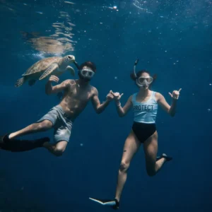 couple snorkeling along turtle