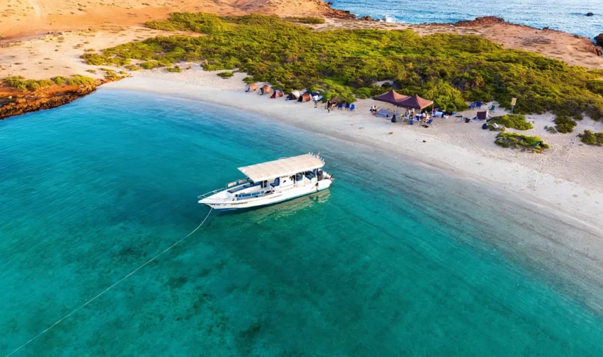 Daymaniyat vs Maldives: Which Is Better for a Snorkeling & Beach Holiday?