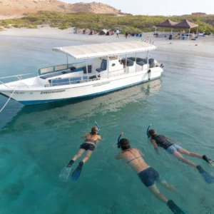 people are snorkeling at day daymaniyat waters
