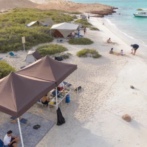 people relaxing on island