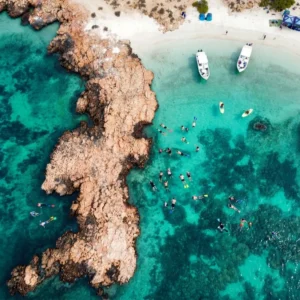 people snorkeling at daymaniayt islands