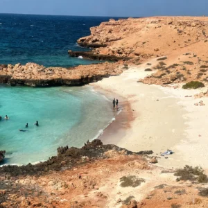 Guests swimming at Daymaniyat Islands beach during full day tour